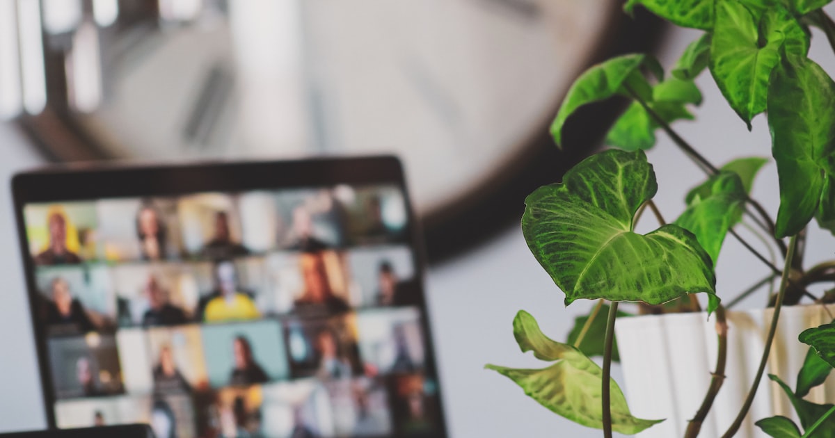 laptop showing video call near houseplant